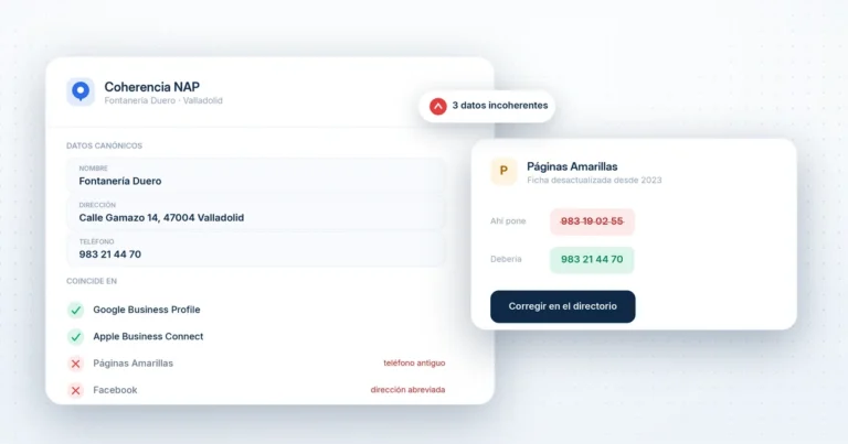 qué es el nap en seo local