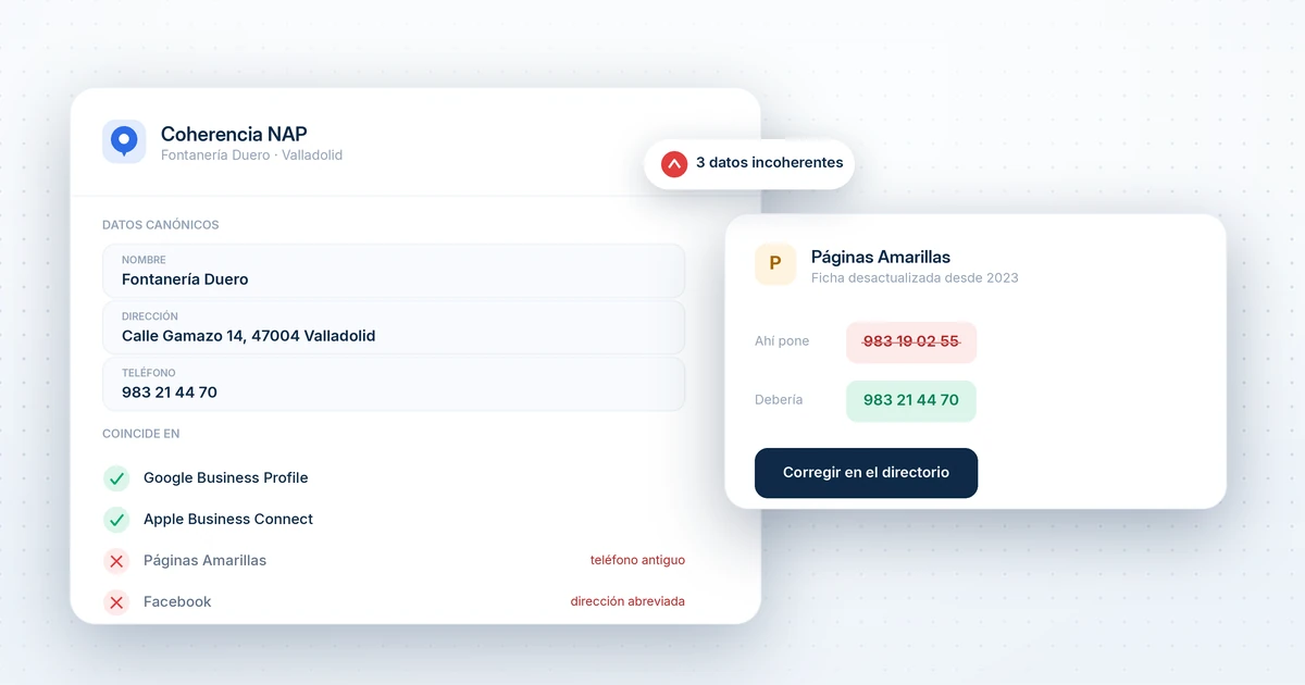 qué es el nap en seo local